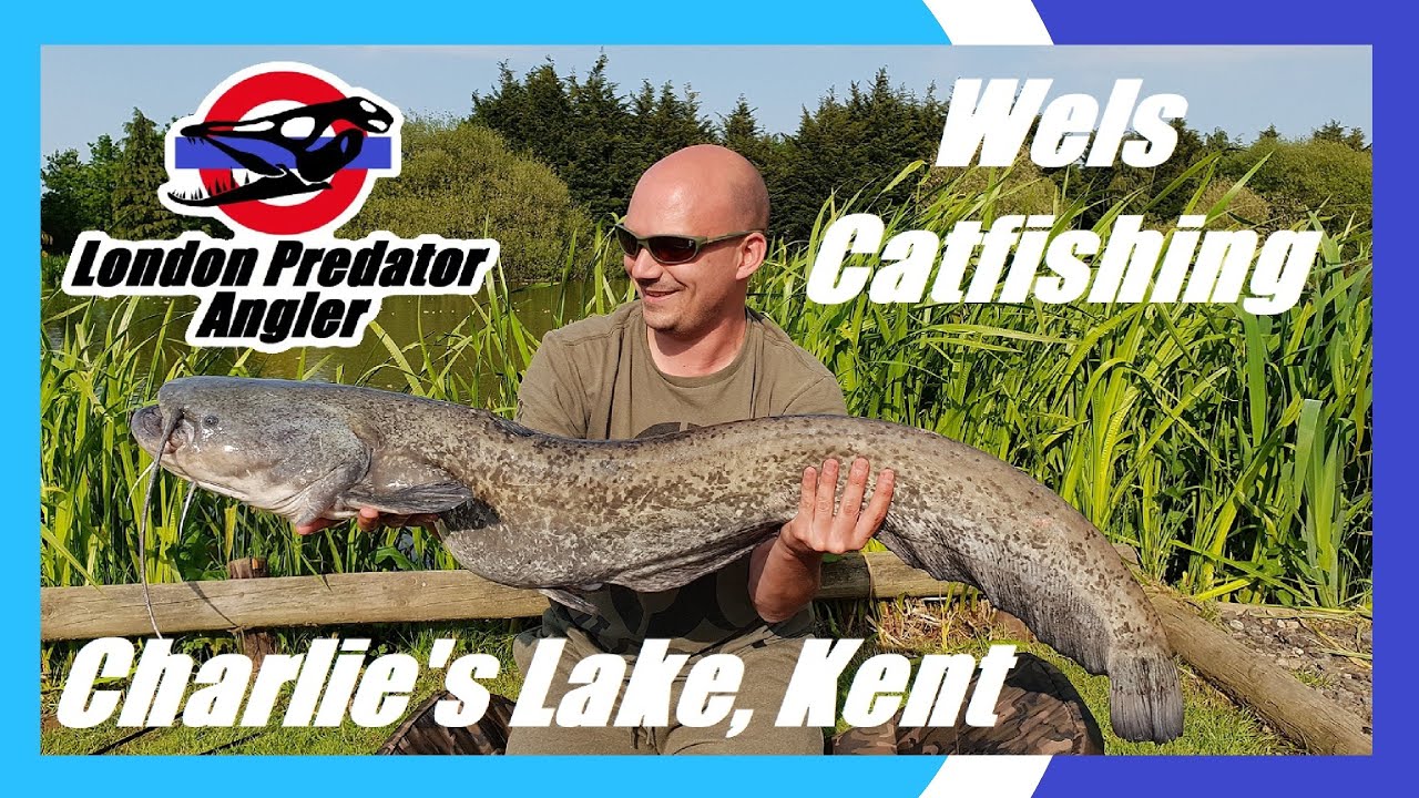 36hr Catfishing Session Charlie's Lake, Kent London Predator Angler