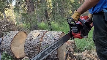 Ported Echo 7310 with 32" Husqvarna light bar, skip chain, noodling. Please subscribe and likeThanks