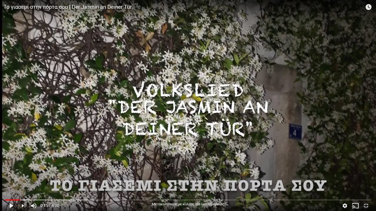 Το γιασεμί στην πόρτα σου | Der Jasmin an Deiner Tür - YouTube