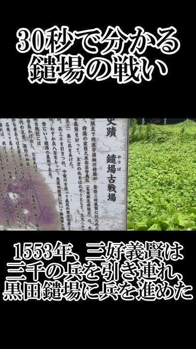 【ゆっくり解説】30秒でわかる鑓場の戦い shorts 徳島 YouTube