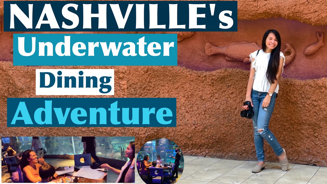 Nashville, Tennessee Aquarium Underwater Dining Adventure YouTube