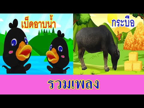 รวมเพลงเป็ดอาบน้ำ ควายแข็งแรง I เพลงเด็กยิ้ม