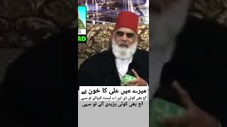 Peer Sayed Mubarak Ali Shah Geelani Sahib #shorts #youtubeshorts #almilaad #short #shortvideo #bayan Peer Sayed Mubarak Ali Shah Geelani Sahib #shorts #youtubeshorts #almilaad #short #shortvideo #bayan
