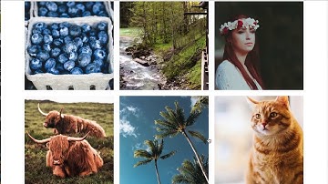 CSS Grid with React Router - Build an Instagram Clone [Course Trailer]