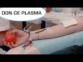 Don de plasma  dons du vivant