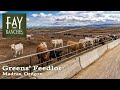 SOLD | Oregon Beef Cattle Feedlot For Sale | Greens&#39; Feedlot | Madras, Oregon