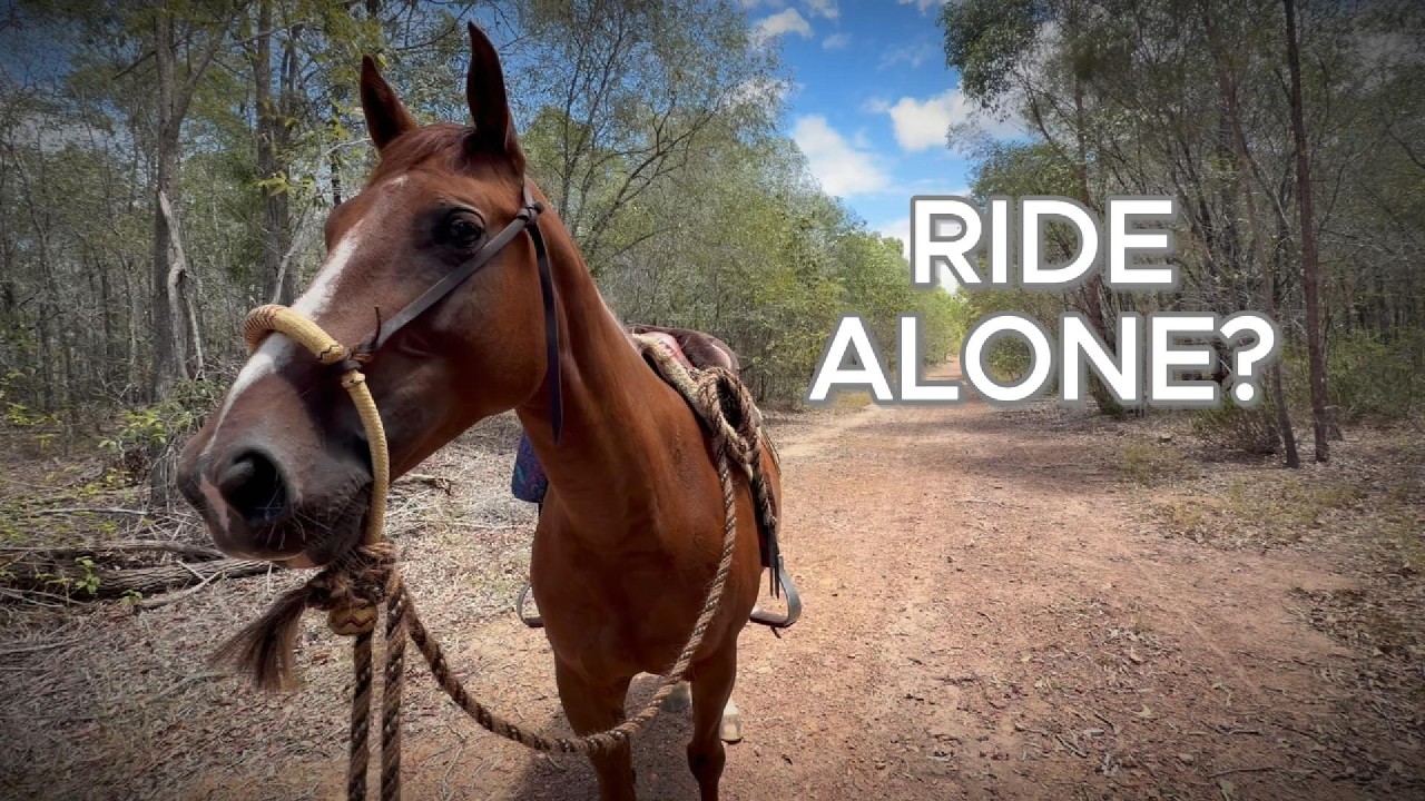 Я наконец-то отправился в путь в одиночку на перьях.