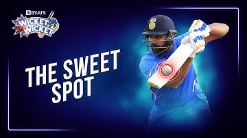 The Sweet Spot | Stationary Waves | Wicket To Wicket | BYJU