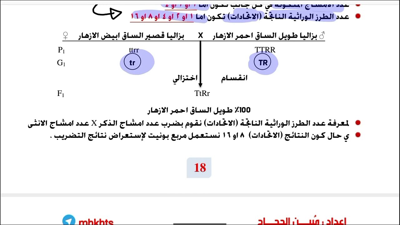 التهجين الثنائي - الأساسيات - ج2 || أحياء السادس العلمي || الأستاذ مُبين الحجاج