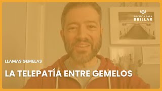 LLAMAS GEMELAS: LA TELEPATÍA ENTRE GEMEL@S