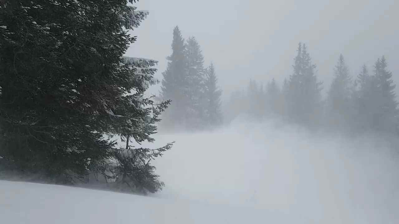 1 hour snowstorm] White noise healing deep sleep time good night. - YouTube