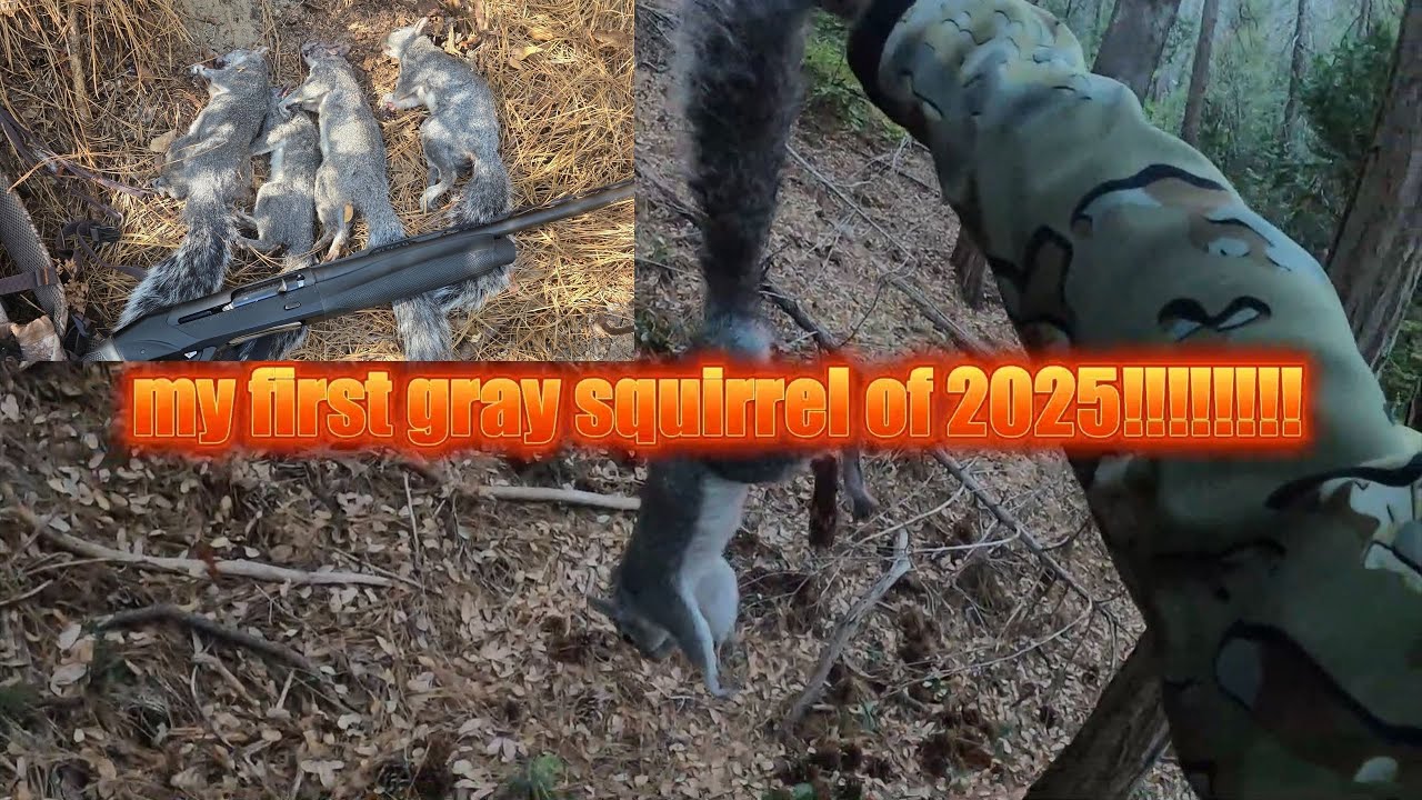 Fresno California Gray Squirrel Hunting First Day Opening!!!