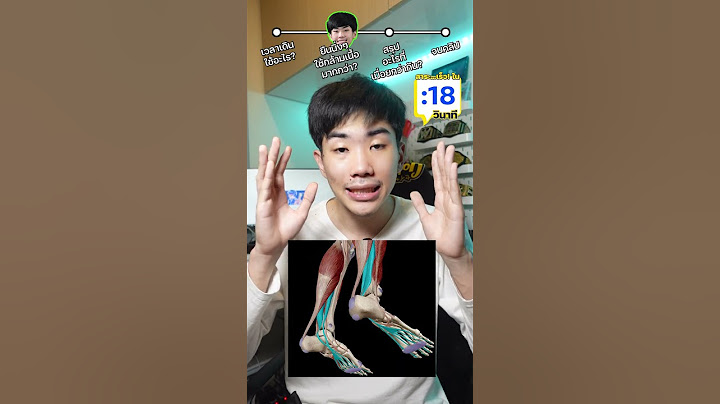 ยืนหรือเดิน อะไรเมื่อยกว่า? #สาระ #saysci #ความรู้ #เรื่องเล่า