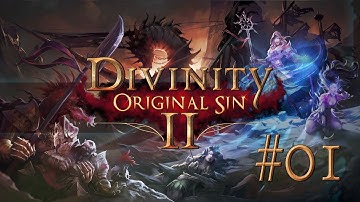 Divinity Original Sin 2 #01 INQUISITOR ELYSIUM - Let