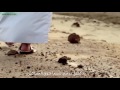 تشتاق روحي السماء تشتاق روحي السماء