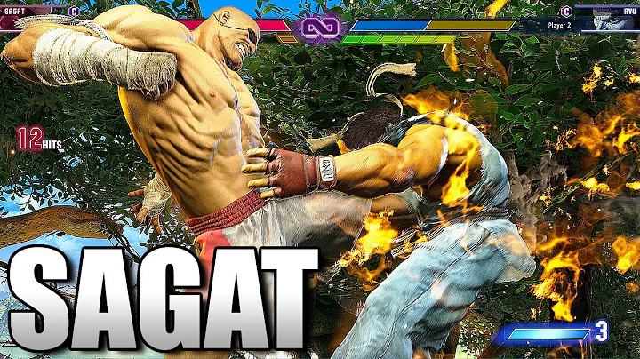 Sagat Combos + Hype!