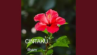 Cintaku
