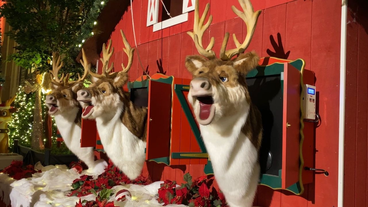 Holiday Reflections at Union Station | Walk With Me