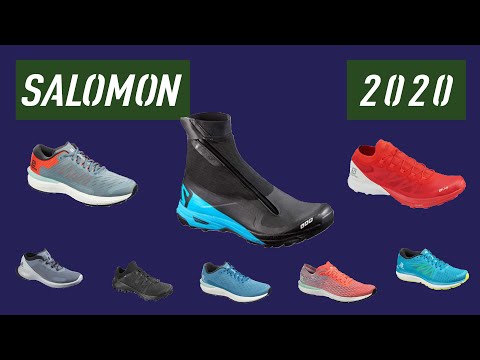 Video: Watter regsbeginsel het uit Salomon vs Salomon saak gekom?