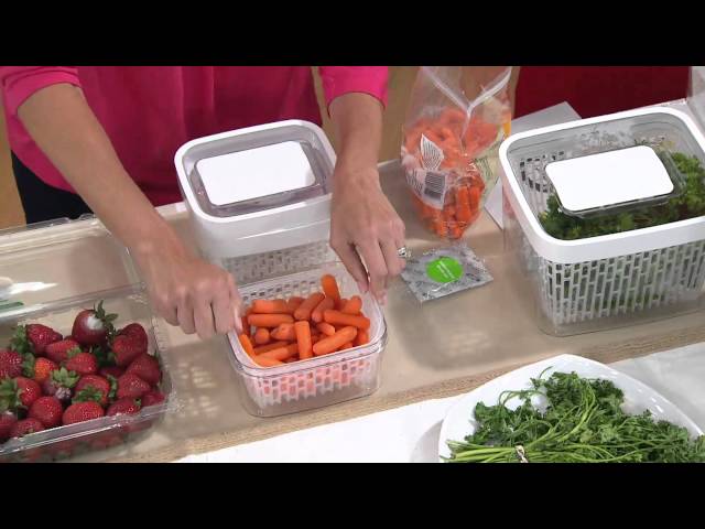 OXO greensaver Produce Keepers