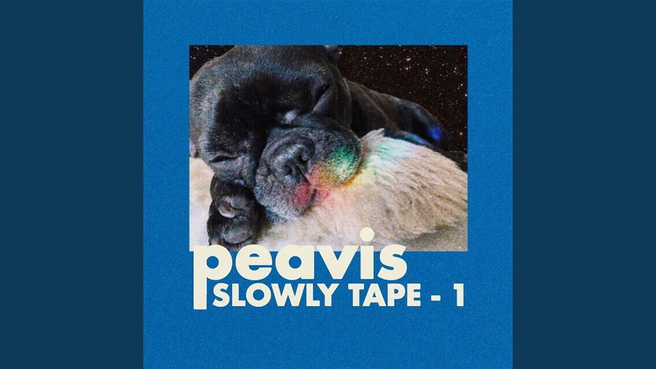 Plastic City (feat. BASHI THE BRIDGE)