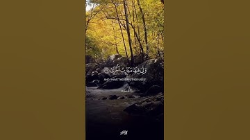 تقليد للشيخ محمد ايوب رحمه الله من القارئ محمد شمس