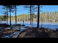POV Spring Forest Walk | Natural Sounds