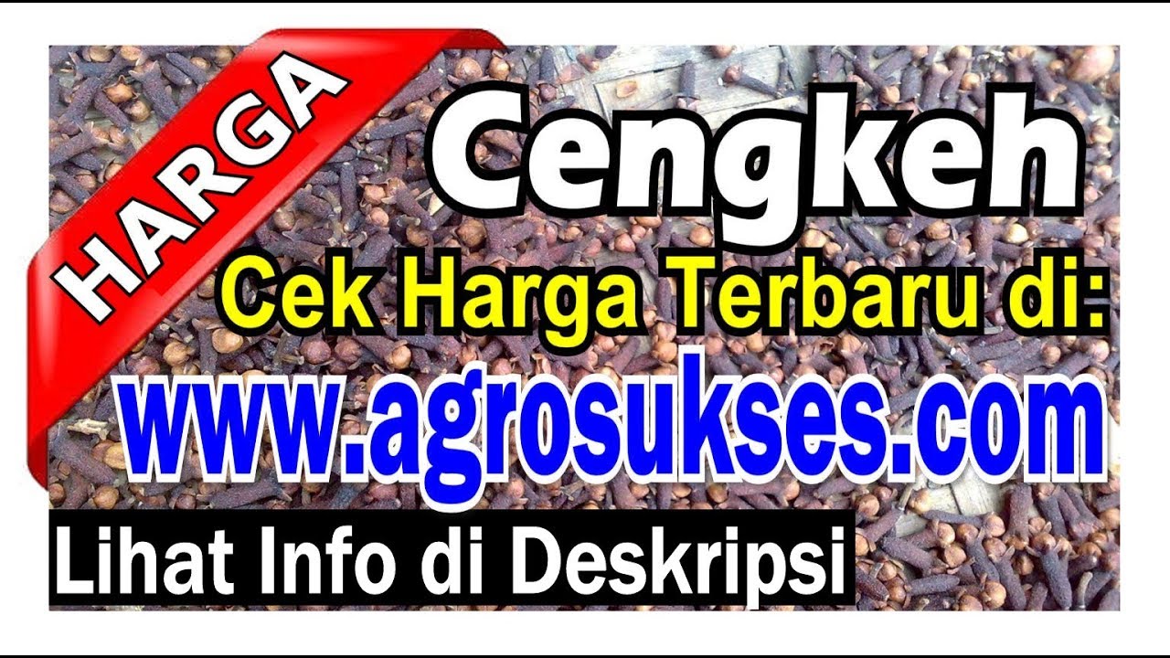  Update 2021  Daftar Harga  Terbaru Cengkeh Kering  Rp 