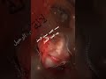 صمت الرحيل بعد التعب الطويل لب لب Loubna لايك اشتراك 