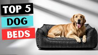 5 Best Dog Beds 2025 ✅ Tested & Reviewed!