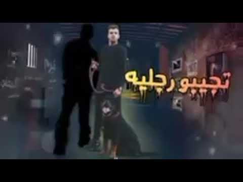 احنا صيع منحرفين انت اخويا زميلي انا في دهرك عصام صاصا وامين خطاب توزيع كيمو الديب