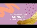 SONNET ➤ Тестирую полимерную глину ➤  Прочность, гибкость и свойства глины Соннет ➤ ЛЕПИмое ДЕЛО