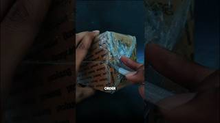 Hardy Plantsfor Yourplanted Tank Unboxing & Review Bunnycart