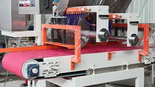 Double group multi blade automatic cutting machine - 600