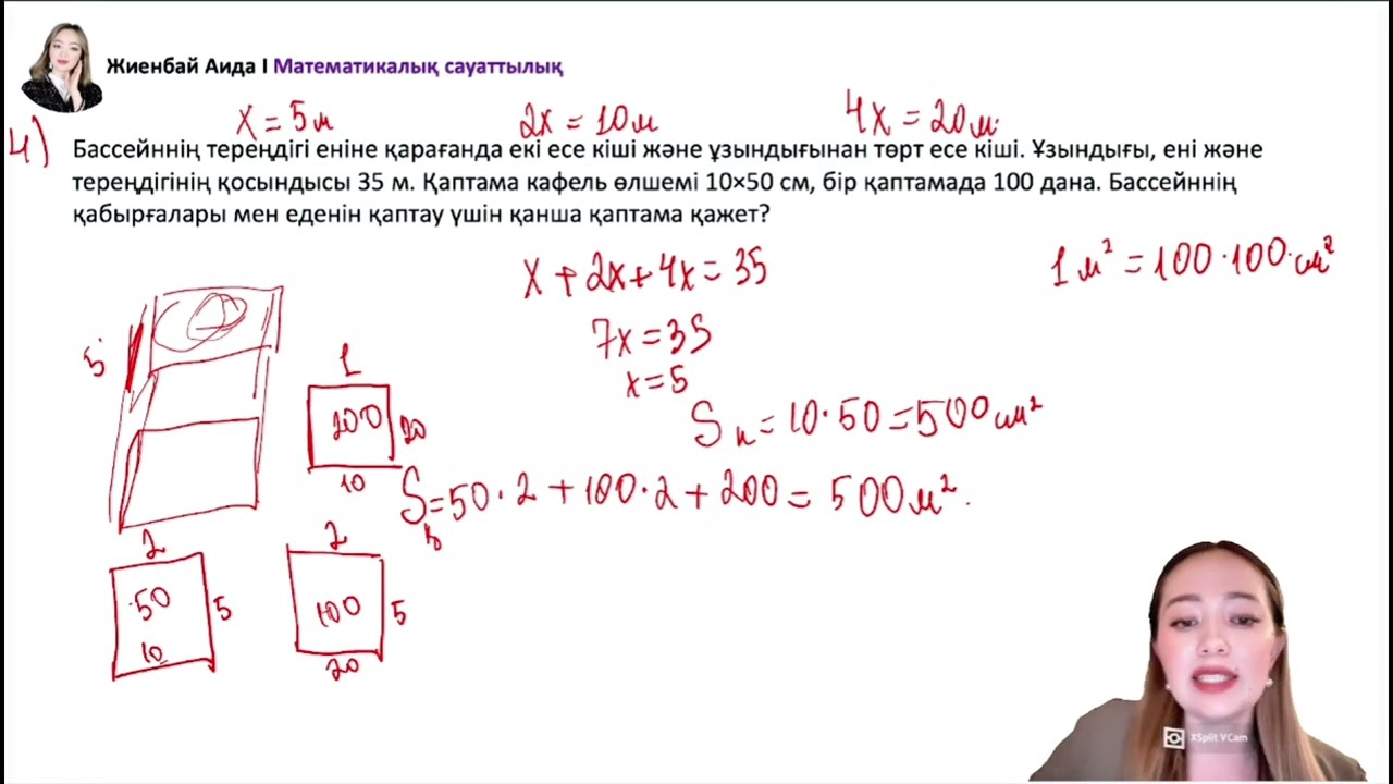 МАТСАУ | НҰСҚА ТАЛДАУ | Аида апаймен
