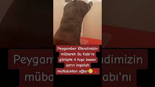 Peygamber Efendimiz Mübarek Su Kabını Görüp 4 Tuşa Basan 2 Dakika Sonra Mutluluktan Ağlar Inşallah