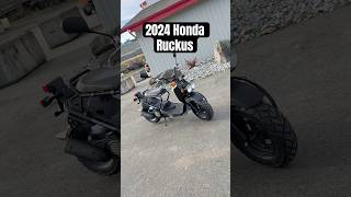 2024 Honda Rukus Sound Test / What Do YOU Ride?!? #honda