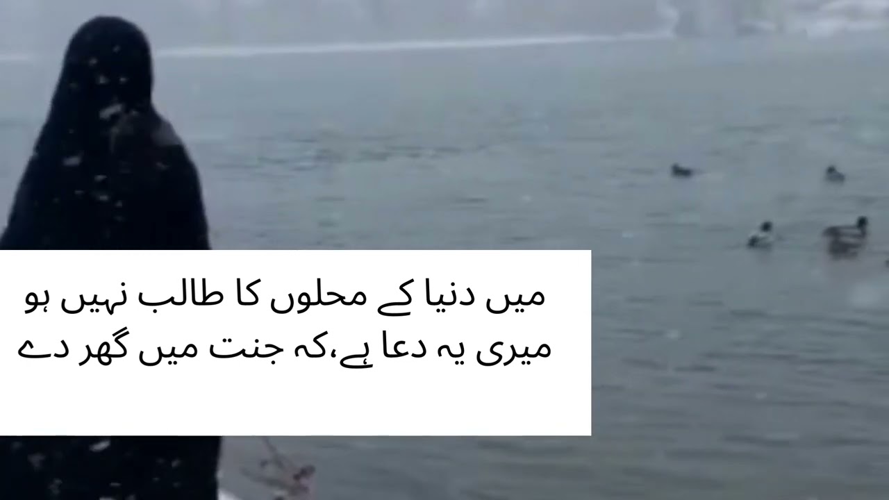 #BeautifulQuotes #Beautifulislamicwords