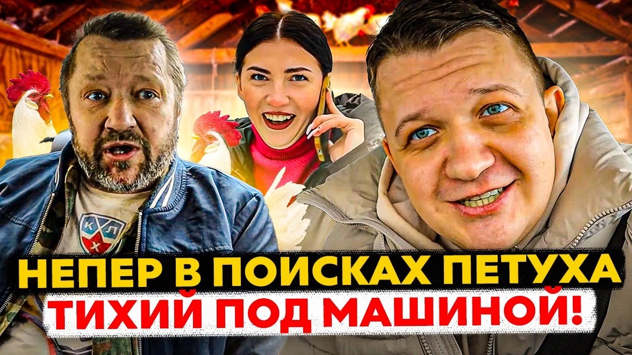 Петух клюет машину видео
