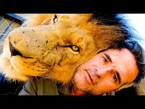 Wideo: Dlaczego nazywa się je lwami nittany?
