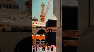 Download Lagu Wedding Nasheed 🕋🤲🏻🌼 || Mohammad Al Muqit 🎧 Wedding nasheed by muhammad al muqit MP3 Download Lagu Wedding Nasheed 🕋🤲🏻🌼 || Mohammad Al Muqit 🎧 Wedding nasheed by muhammad al muqit MP3
