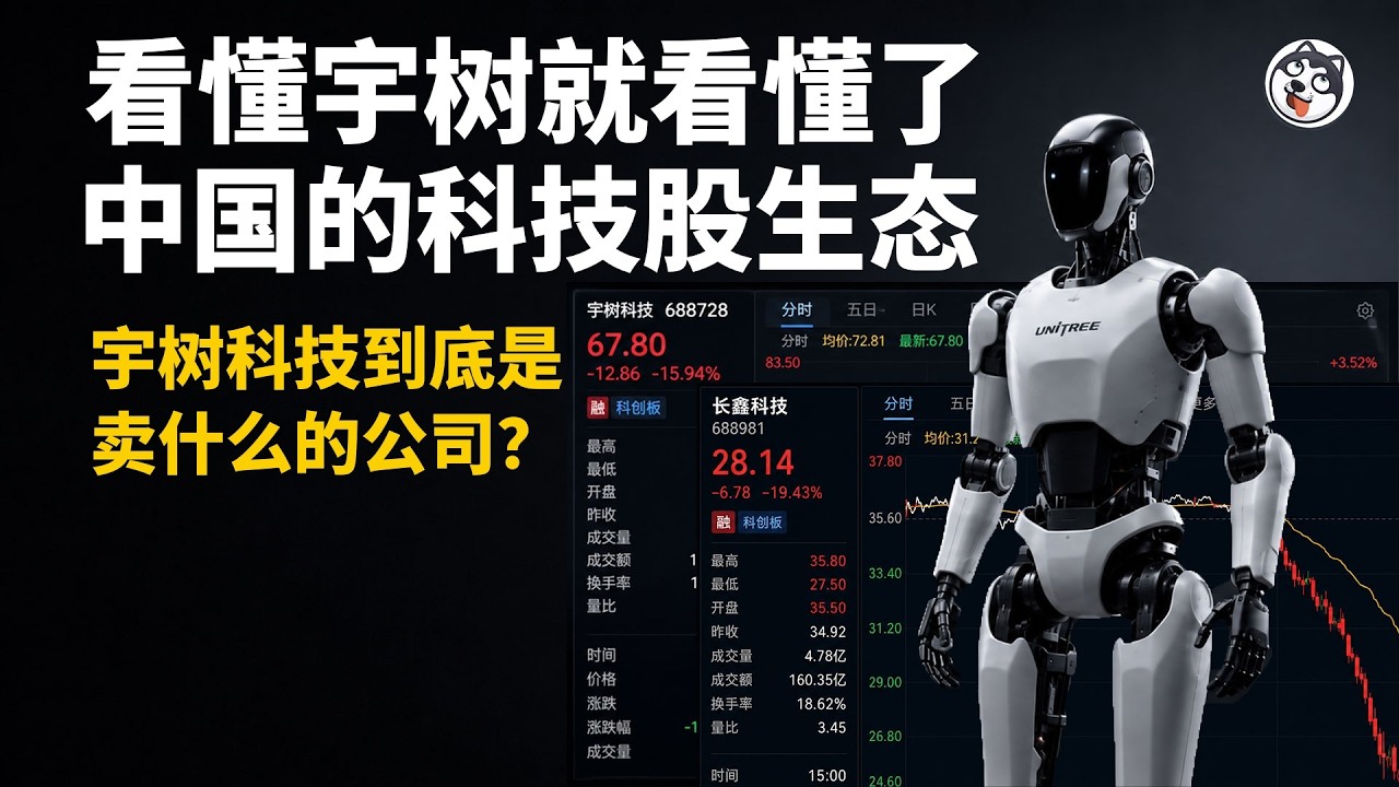 一个狠人：機器人幹活一小時355塊、工人只要30塊！宇樹七成收入是政府訂單、運動會辦給財政和股民看！新能源騙補同配方、低空經濟屍體還熱著、真買家全是軍警和央企！憑什麼撐起4400億估值？