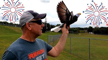 Go Go Bird Eagle - How To Assemble and Fly