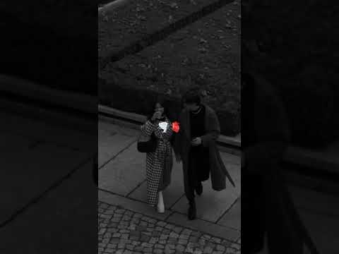 Rai Jdid 2024 Tiktok Rai Shorts Rai Dz Tiktok Algeria Morocco Foryou Share Music Fyy 