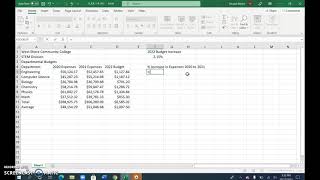 Excel Module 1 Budgets