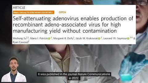 Adeno-Associated Virus (AAV) for high manufacturing yield