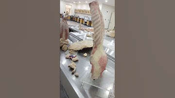 najran university East airport