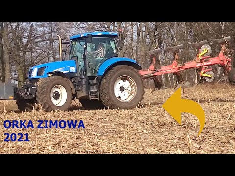 ⛔Orka 2021 z