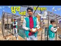 ध्रुव भाई के कबूतरों का शौक || PIGEONS LOVER MANISH 🕊️