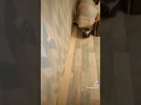 Стелю линолеум, можно просто раскатать